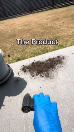 GIF 3