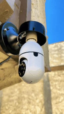 GIF 1
