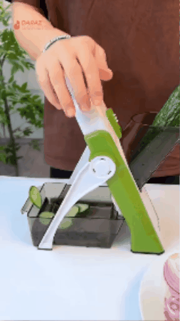 GIF 1