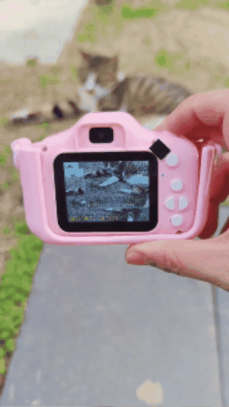 GIF 3