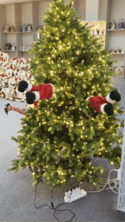 GIF 3