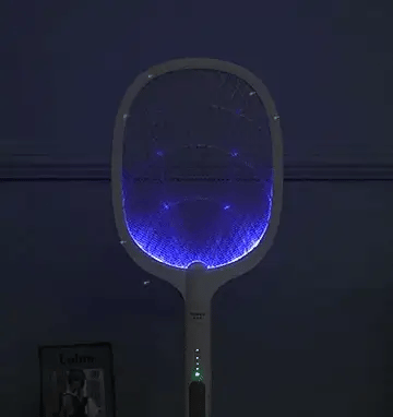 GIF 1