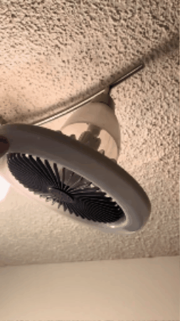 GIF 1