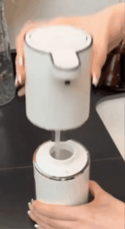 GIF 1