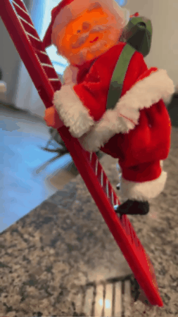 GIF 3