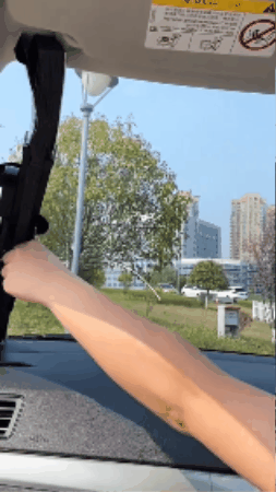 GIF 2