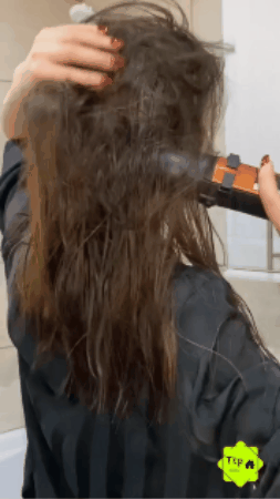 GIF 1