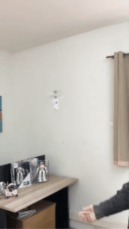 GIF 1