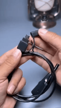 GIF 3
