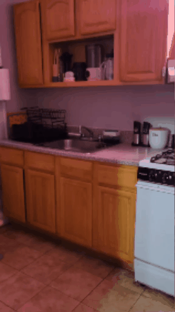 GIF 2
