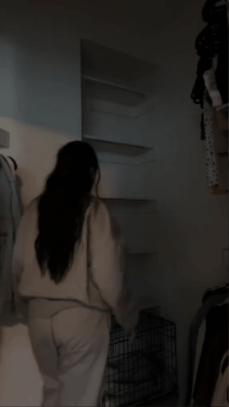 GIF 3