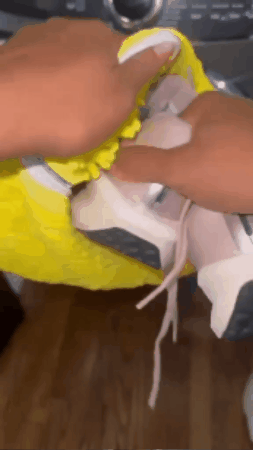 GIF 1